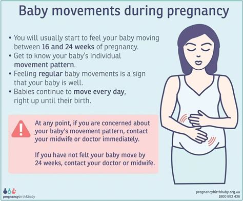 fetal movement