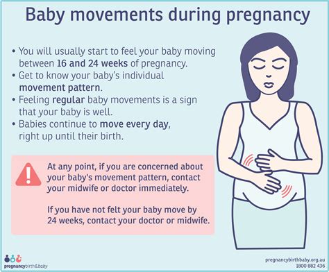 fetal movement