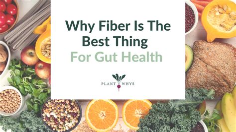 Fiber and gut health