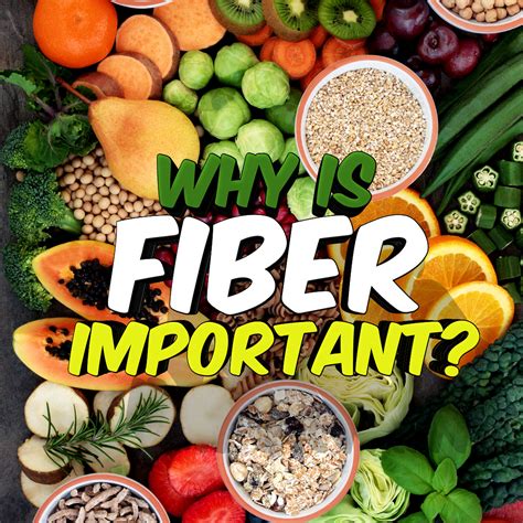 Fiber importance