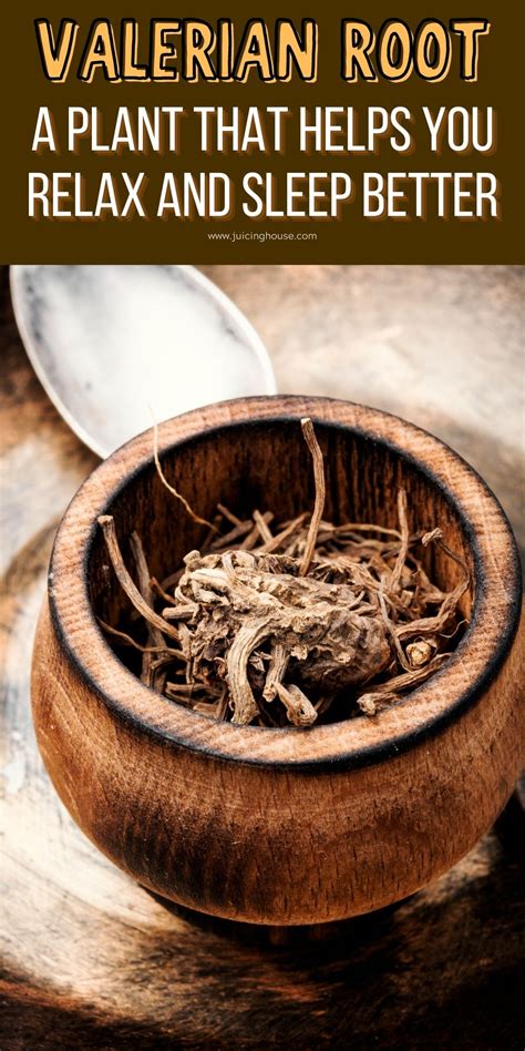 Final Thoughts on Valerian Root