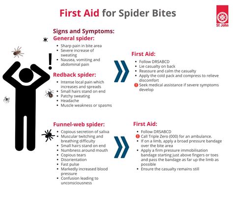 first aid recluse spider bite