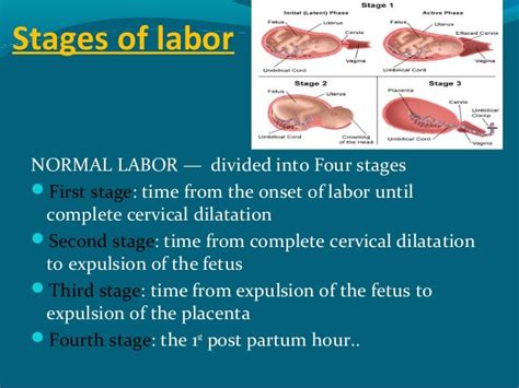 First Stage Labor