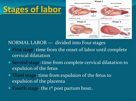 first stage of labor