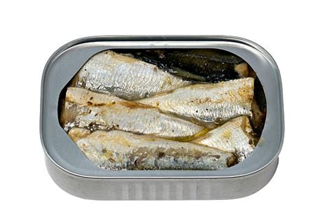 Fish and Seafood High in Phosphorus