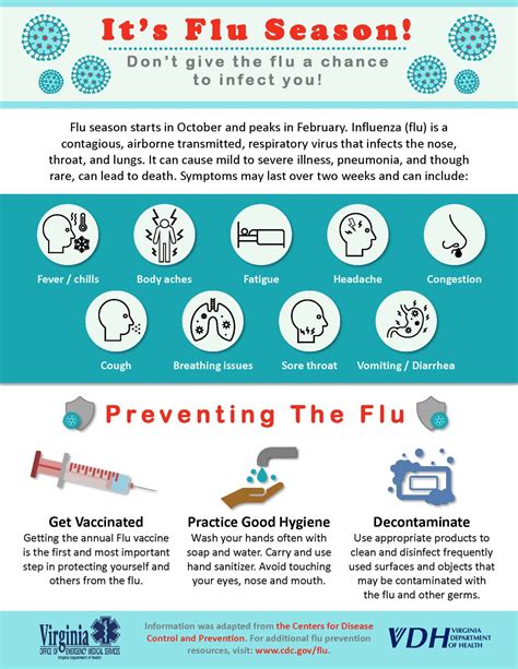 flu season trends
