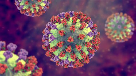 flu virus