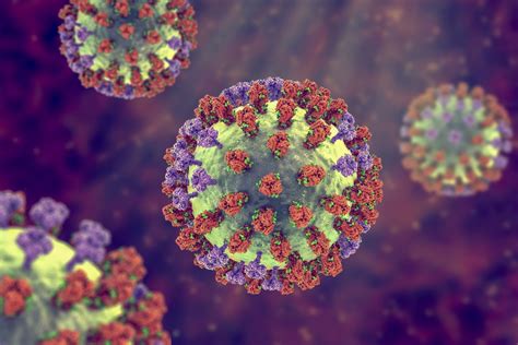 flu virus