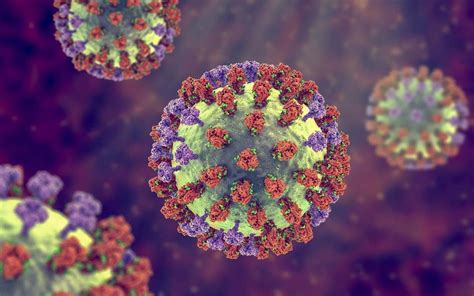Flu virus illustration
