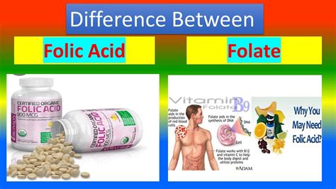 Folic acid benefits