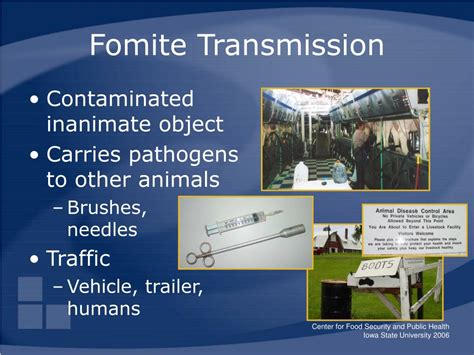 Fomite transmission of hand diseases