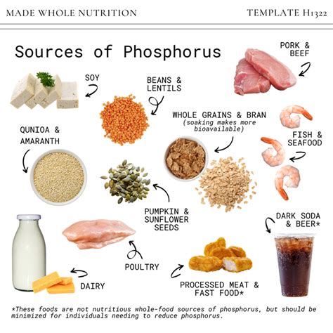 food sources of phosphorus