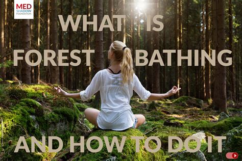 forest bathing