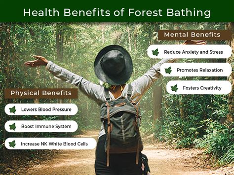 forest bathing mental health