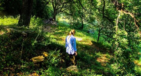 forest bathing practice