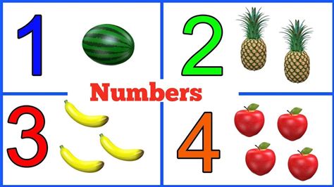 fruits and vegetables