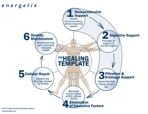functional medicine next steps
