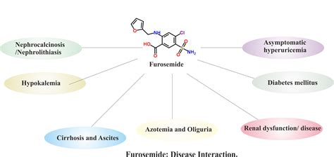 Furosemide Interactions and Contraindications