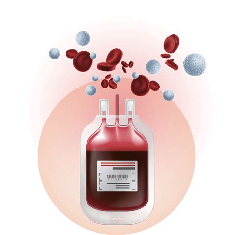 Future Cord Blood Banking
