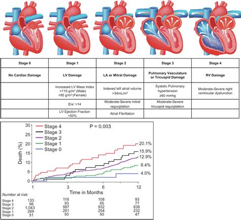 future directions in aortic stenosis research
