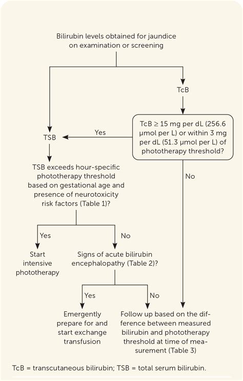 Future Directions in Jaundice Treatment