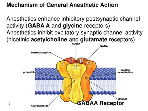 General Anesthesia Mechanisms