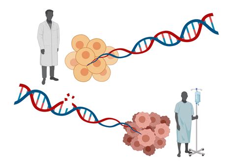 Genetic Causes