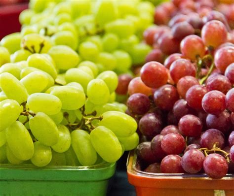grapes weight loss
