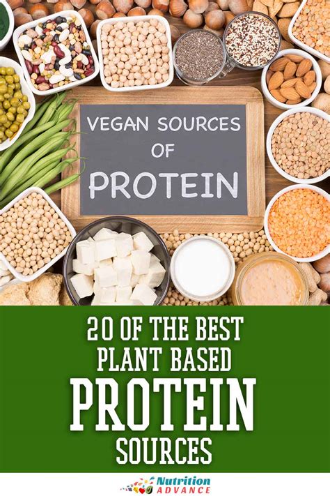 Great Plant-Based Protein Sources