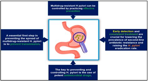 H. Pylori Infection Future Directions