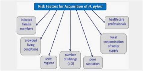 H. Pylori Infection Risk Factors