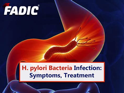 H. Pylori Infection Symptoms