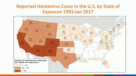 hantavirus conclusion image