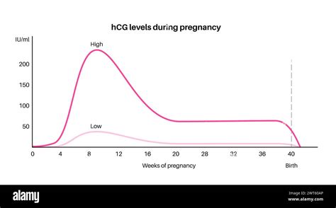 hcg Levels and Pregnancy Complications