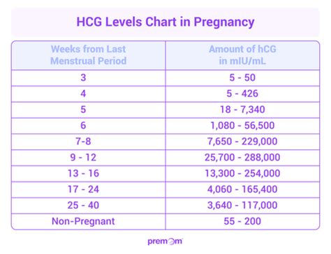 hcg level fetal development