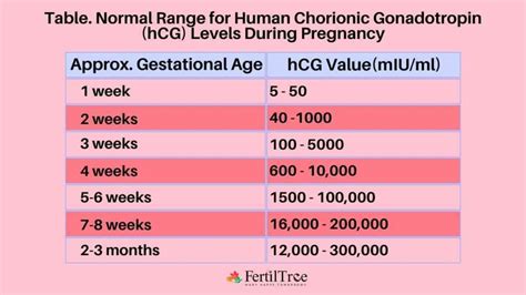 hCG Levels and Fertility Treatments
