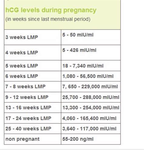 hCG levels in multiple pregnancy