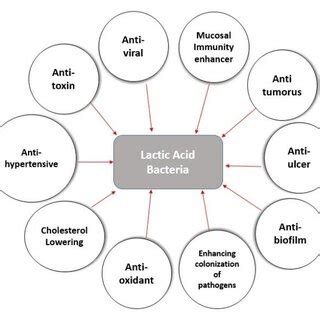 health benefits of lactic acid