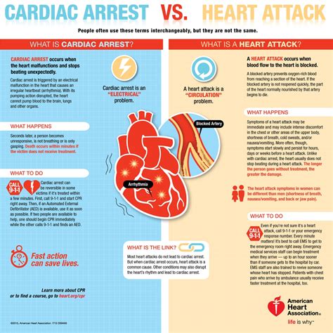 heart attack conclusion