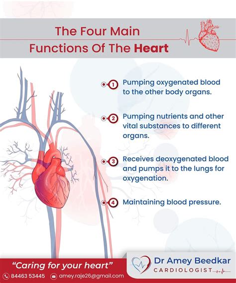 Heart Functions