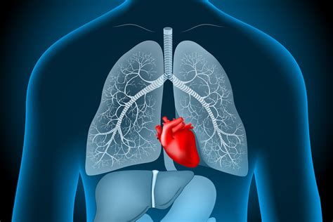 Heart Location