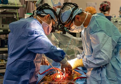 Heart Surgery