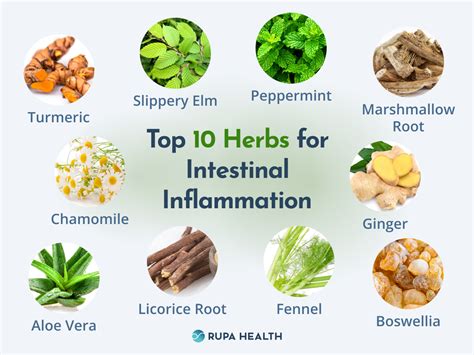 herbal remedies
