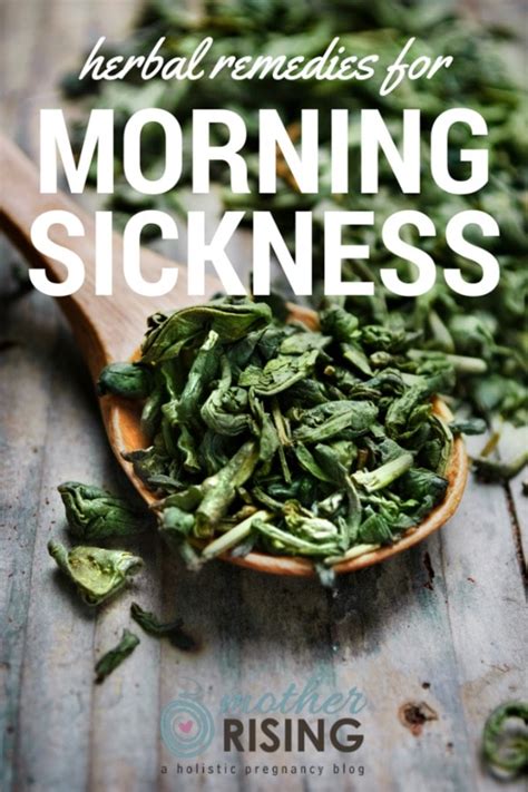 Herbal Remedies for Morning Sickness