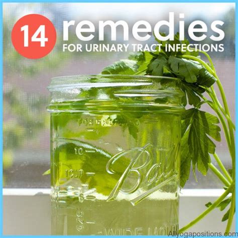 Herbal Supplements for Urine Pain Relief
