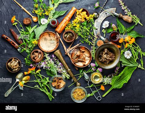 Herbalism and Botanical Medicine