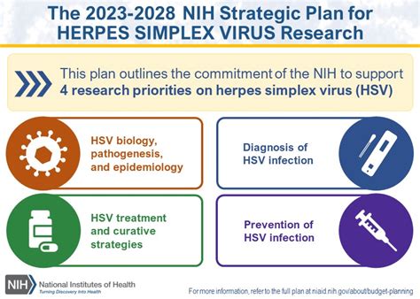 Herpes Infection Research