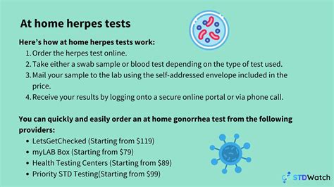 Herpes Testing Guide