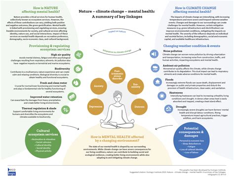 Holistic Approaches