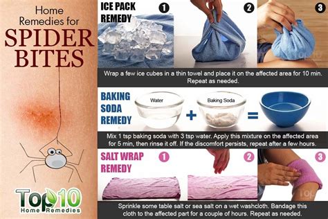 home remedies for brown recluse spider bites